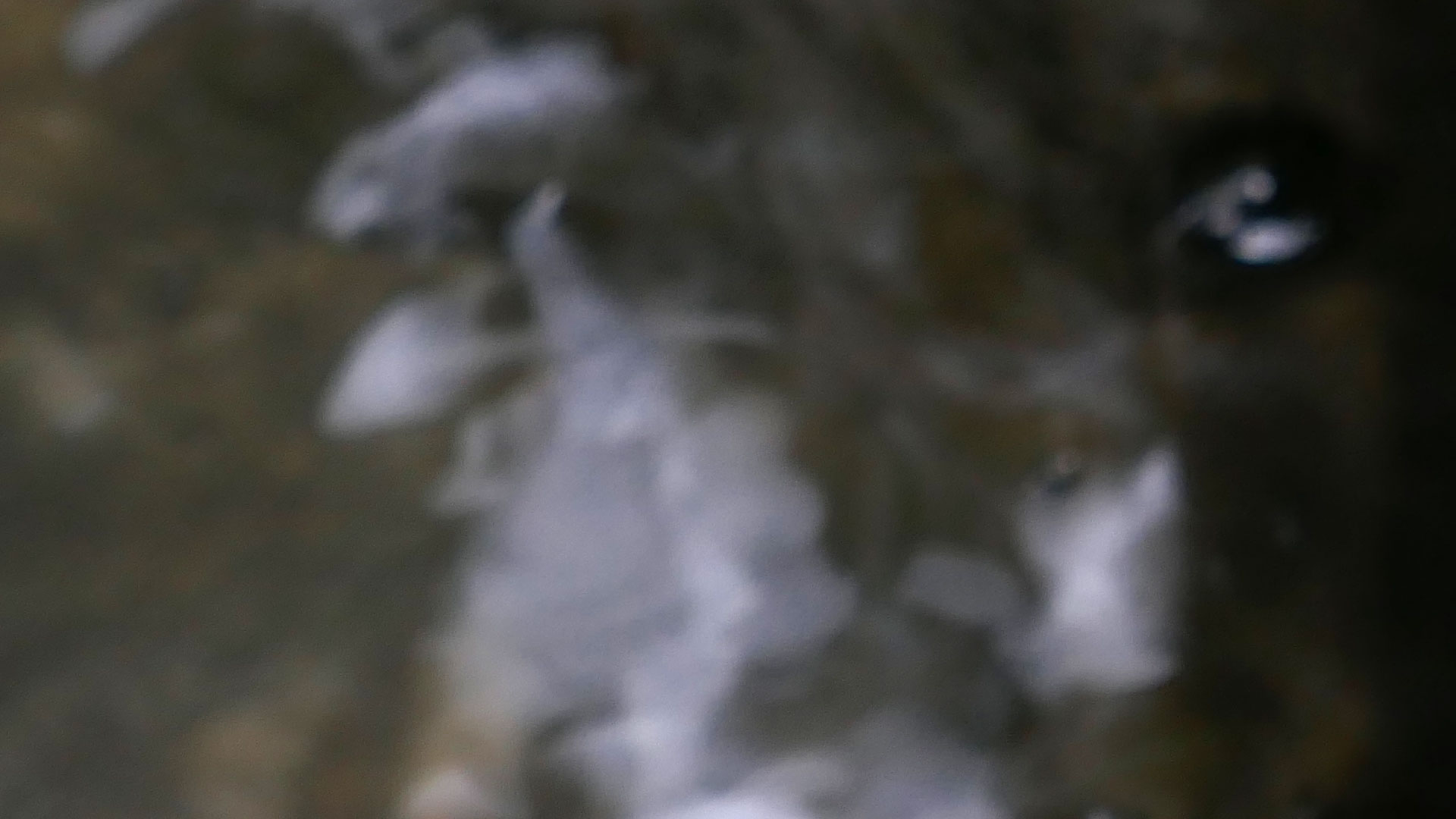 2024-01-22 Schneeschmelze (Audio)